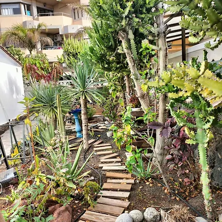 Apartment Diamar Corralejo