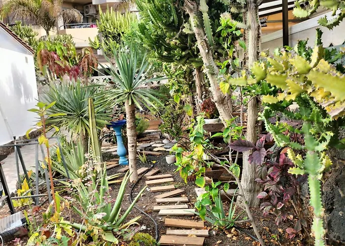 Appartamento Diamar Corralejo